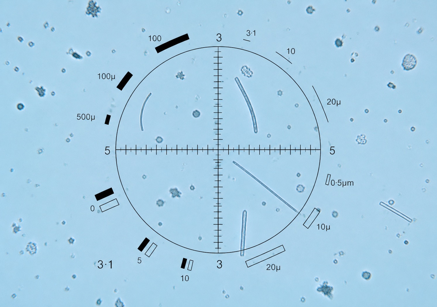 Campo microscopico con reticolo Walton-Beckett, particolato e fibre